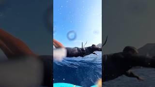 BIG Foiling Crash 