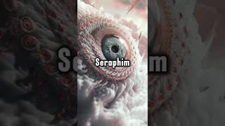 What Happens When You See a Seraphim?