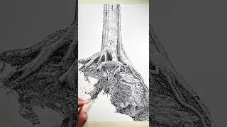 Creating texture using pen and ink #inkdrawing #treeart #shorts #lineart #meditativeart #dippen