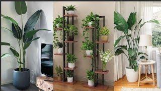 20+Indoor modern plants decorations ideas/interior design//Living room decorating trends.