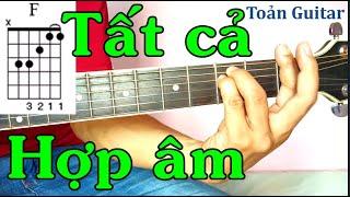 Cách bấm tất cả hợp âm cơ bản trên đàn guitar