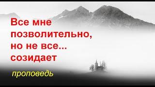 Все мне позволительно, но не все... созидает