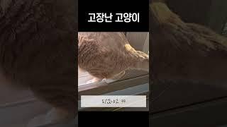 왜 이러는 걸까요