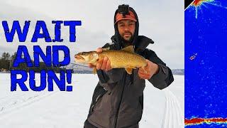 DEADLY Technique for Jigging Lake Trout! Ice Fishing