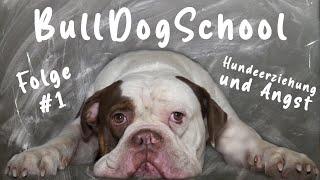 BullDogSchool #1 - Welpen integrieren und Angst in der Hundeerziehung