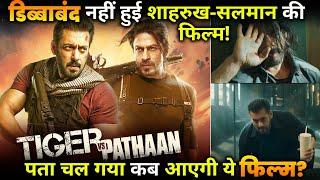 Tiger v/s Pathaan: Shahrukh-Salman's film not shelved!find out when this film will release ?