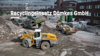 Recyclingeinsatz Dömkes GmbH | Liebherr