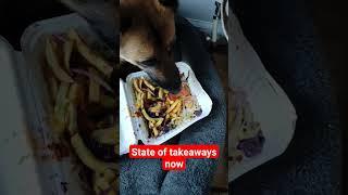 dog an take away #dog