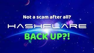 HashFlare BACK UP?! SHA-256 Contract UPDATE