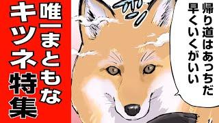 イケメンなのに3枚目なキツネまとめ【世界の終わりに柴犬と】