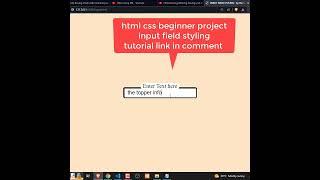 Input Text Field Styling | HTML CSS PROJECT | #html #css #programming #development #webdevelopment