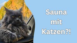 Katzen, Pilze und Wasserfälle