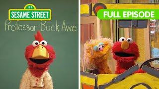 Time for School with Elmo & Friends! | TWO Sesame Street Full Episodes