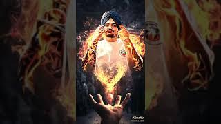 Chubar palajy vich geri kadi jave #youtubeshorts #shorts