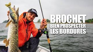 PECHE DU BROCHET en bordure : les conseils de Tom Couchoud