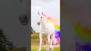 The Real Unicorn  #shorts #viral #Xstatus