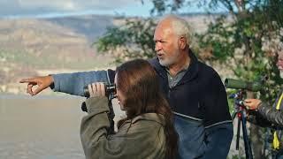 Local Love For Kelowna • Birding with the Central Okanagan Naturalists' Club