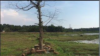 Indian Village Views [ Kalamboor, Kerala, india ]