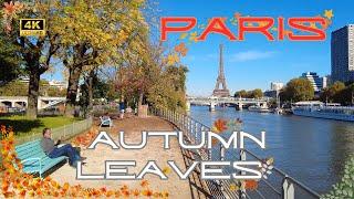 [4K] Leaves & Colors of Paris in Autumn  A Romantic Walk Through Foliage and Hidden Treasures!