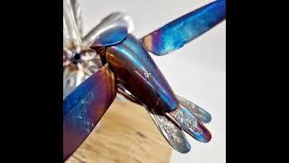 Hummingbird. 