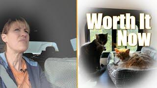RVing With Cats Was Overwhelming at First — Everything I’ve Learned Since