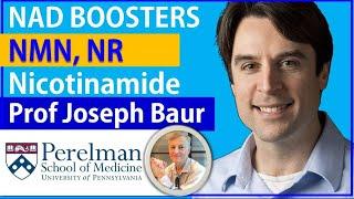 NAD Boosters - NMN, NR & Nicotinamide: The Same? | Professor Joseph Baur Interview Series Episode3