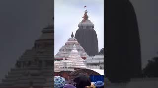 Shri Jagannath Ji #trending #jagannath #krishna #bhakti #1m #jagannathtemple #odisha #virl #kanha #c
