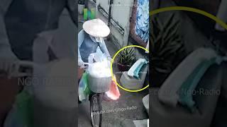 Cứ để ngoài đường là cô nhặt