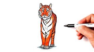 How to draw a Tiger | Drawing Tiger