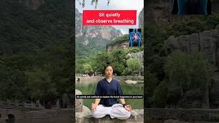 Sit quietly and observe breathing #taichi #shaolinkungfu