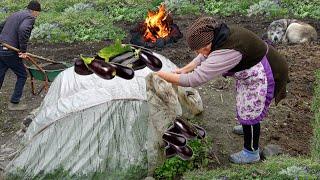 Delicious Eggplant Dishes in Cold Days | Grandma's Best Recipes