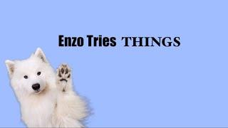 New Series: ENZO TRIES THINGS! (trailer)