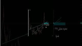 حمایت خساپا