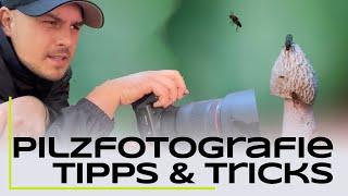 Pilzfotografie Tutorial - 5 Tipps für bessere Fotos