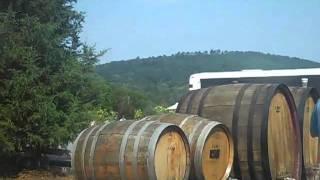 James the Wine Guy at Jefferson Vineyards