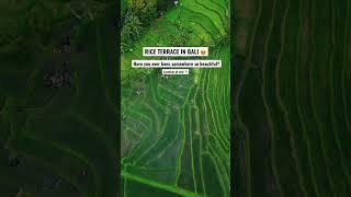 MUST SEE IN BALI Most beautiful Rice Terrace  #bali #riceterrace #indonesia #drone #dronevideo #yt