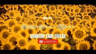 Engin Titiz - Sordum Sarı Çiçeğe | 2023 yeni Ilahi klibi