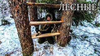 7 ПРОСТЫХ СОВЕТОВ ДЛЯ ЛЕСА | 7 BUSHCRAFT TIPS