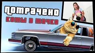 Коты в тачке | ПОТРАЧЕНО