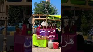 Herat Jan هرات جان افغانستان