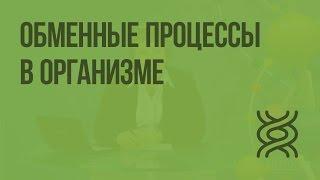 Обменные процессы в организме. Видеоурок по биологии 8 класс