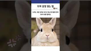 토끼 감정 읽는 법 #동물 #토끼 #귀여운