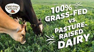 Is 100% Grass-fed milk different than Pasture Raised milk? | Ask Organic Valley