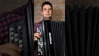 Виновата ли я | На баяне