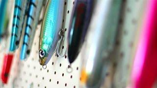 The best Fishing Lures for Tuna and Mackerel