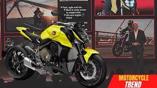 NEW FACE..! 2024 HONDA CB1000R HORNET