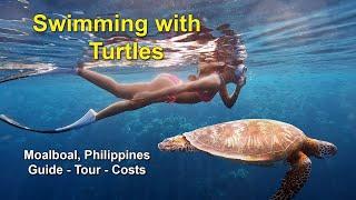 Swimming With Turtles - Moalboal, Philippines