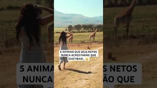 5 animais que seus netos nunca verão porque correm risco de extinção #shorts