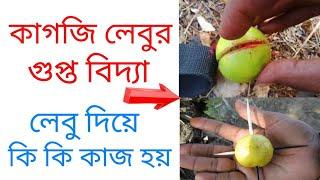 লেবুর গুপ্ত বিদ্যা/The secret knowledge of lemon,sumana group channel