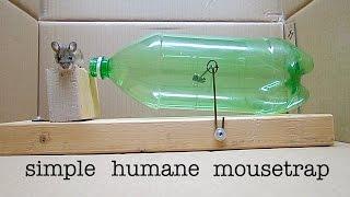 How to Make a ● Simple Catch and Release Bottle Mousetrap ( that works ! )